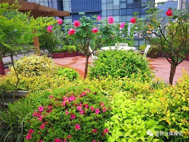 夏天来了,这才是院子的正确打开方式_庭院_绿化_设计