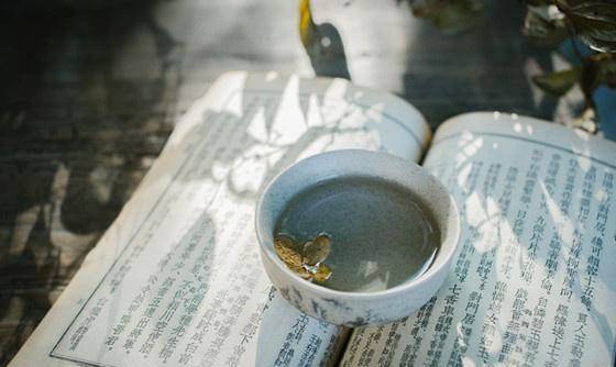 宋词的国度,我们有许多闲事可做:去挑琴,去煮雪,去问茶,去养一池素荷