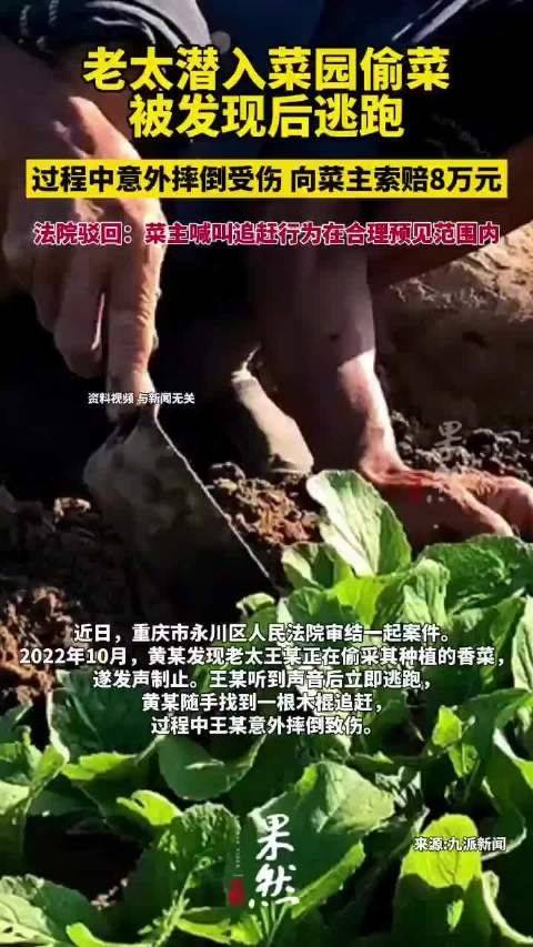 判了？老太偷菜逃跑摔伤，竟起诉菜主索赔8万-大妈偷割韭菜