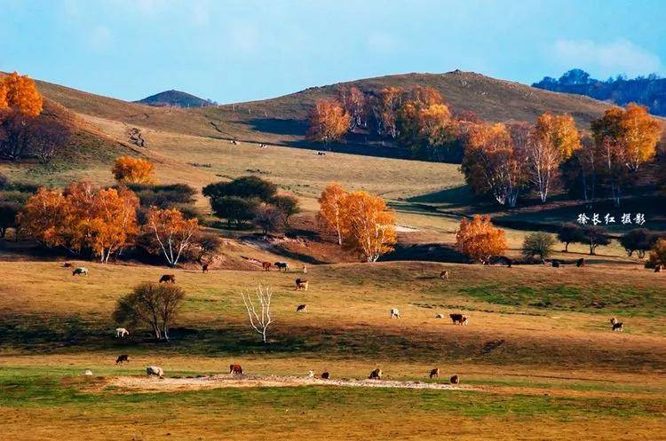 木兰围场之乌兰布统草原,拍不尽坝上如诗如画的美景,徐长红摄影