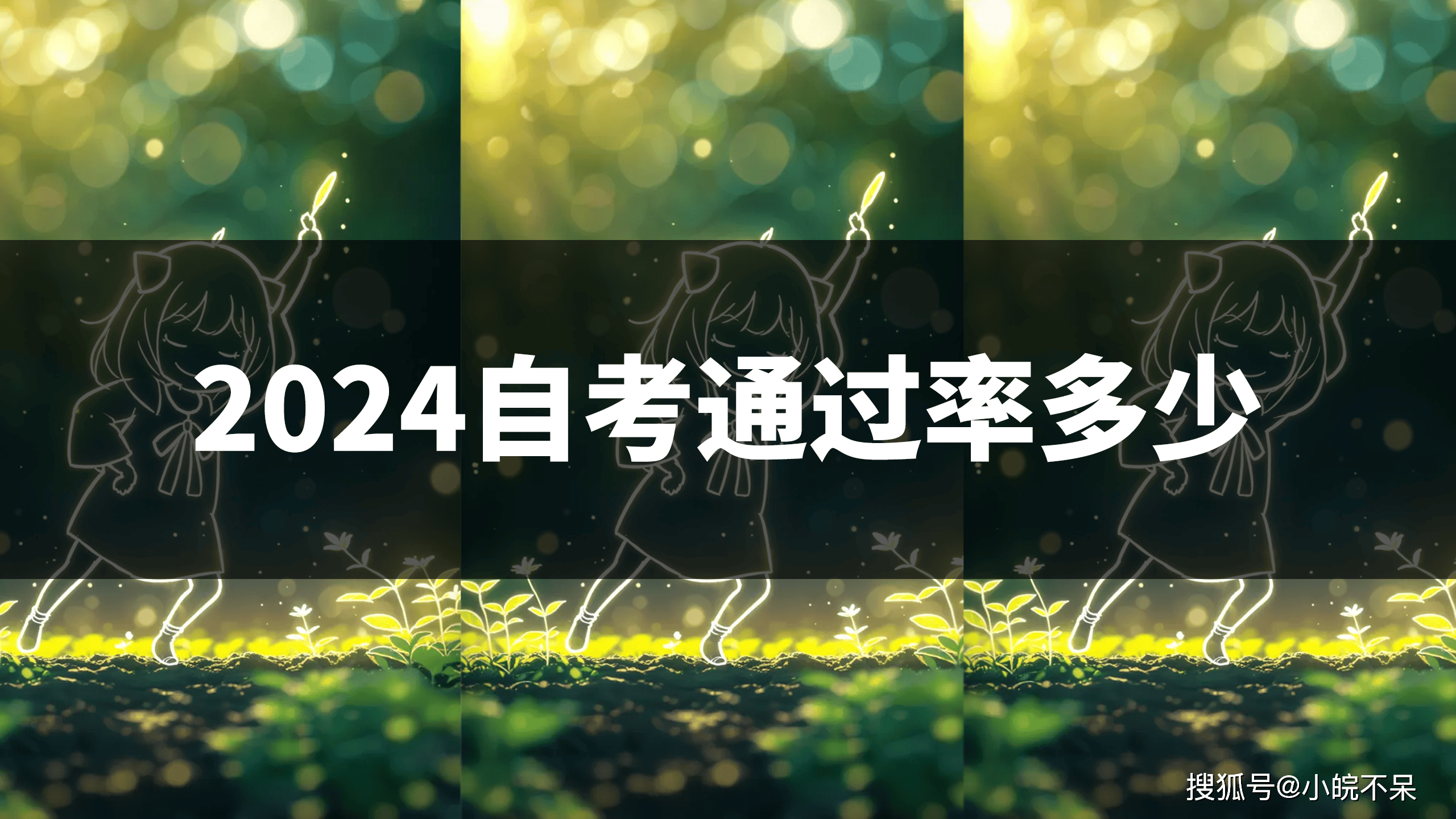 安徽省三本分数线2024_2024安徽高考分数线_安徽省2021本科线