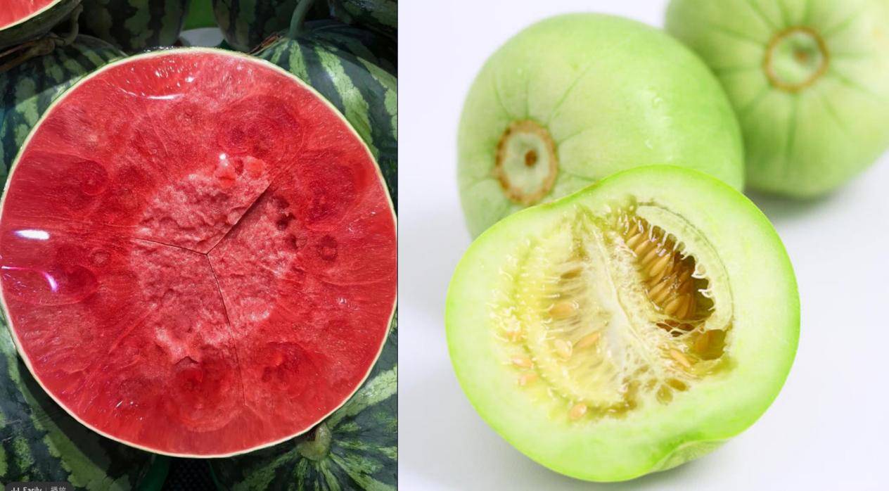 香瓜_西瓜_水果