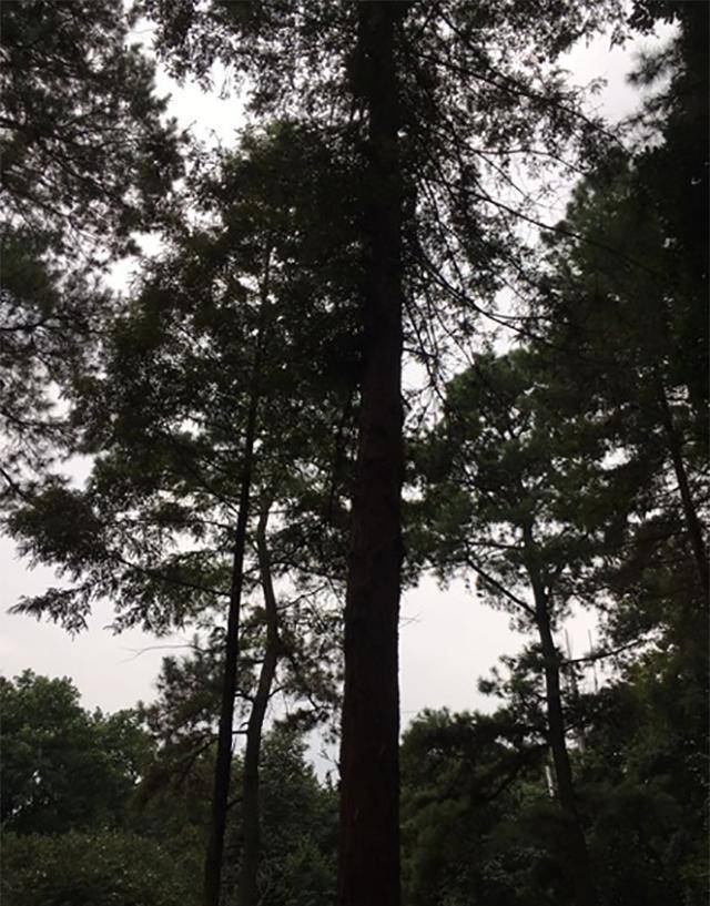 开封市开发区邮编是多少_开封市经开区邮编_河南省开封市经济技术开发区邮编