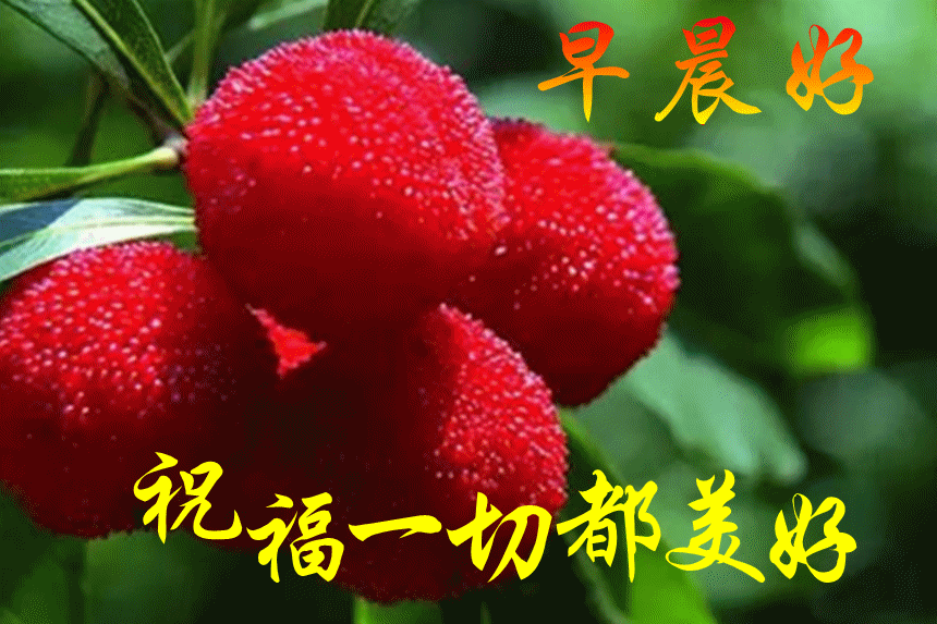 8张创意最美早上好动态水果图片表情带字,免打字夏日早安问候语配图片