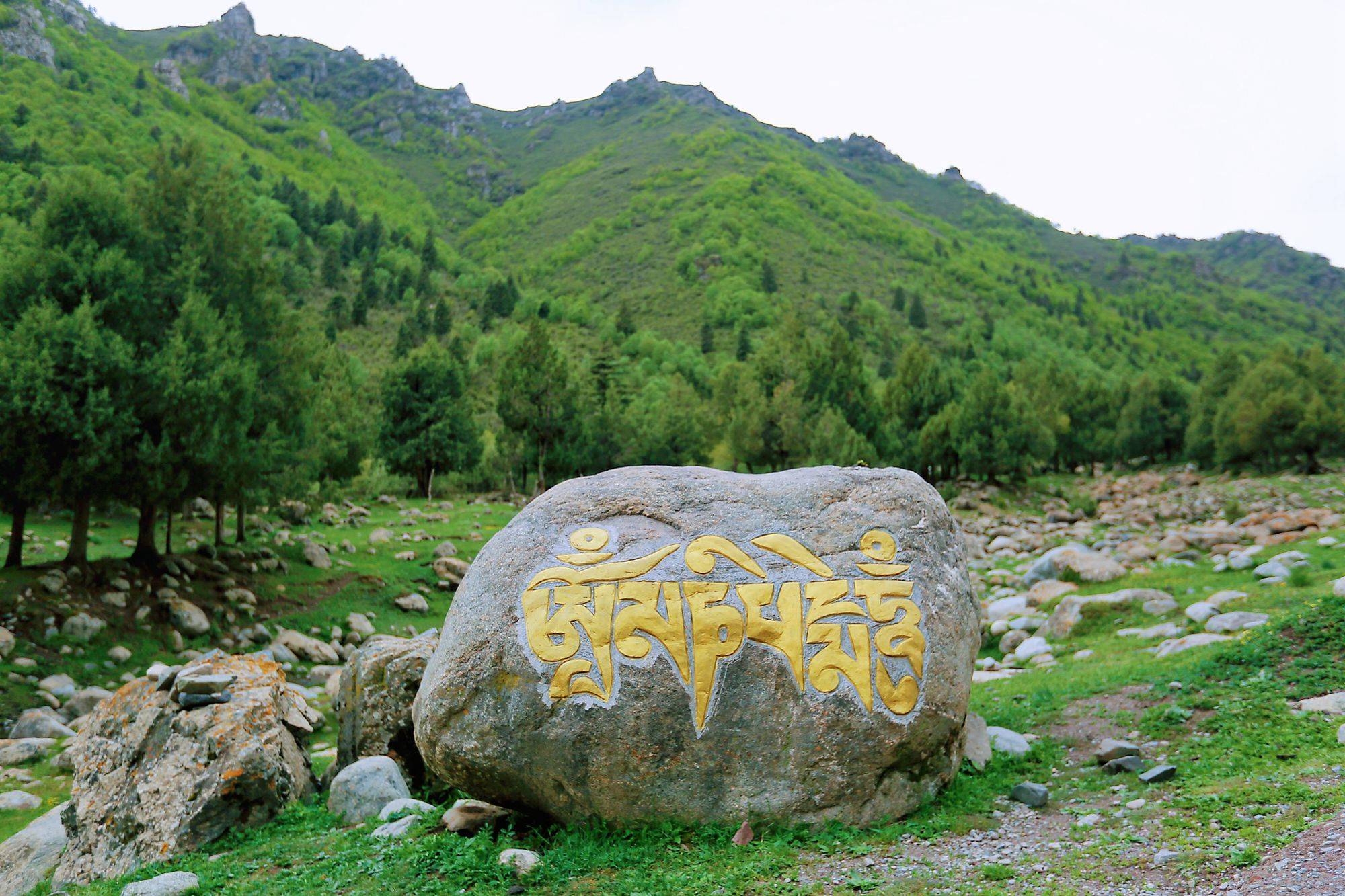 甘肃武威十大旅游景点图片