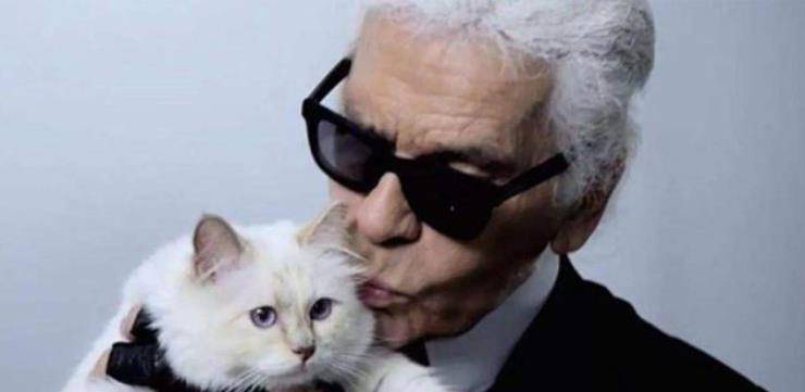 老佛爷去世已2年,那只继承了他21亿遗产的猫,现在过得怎样?