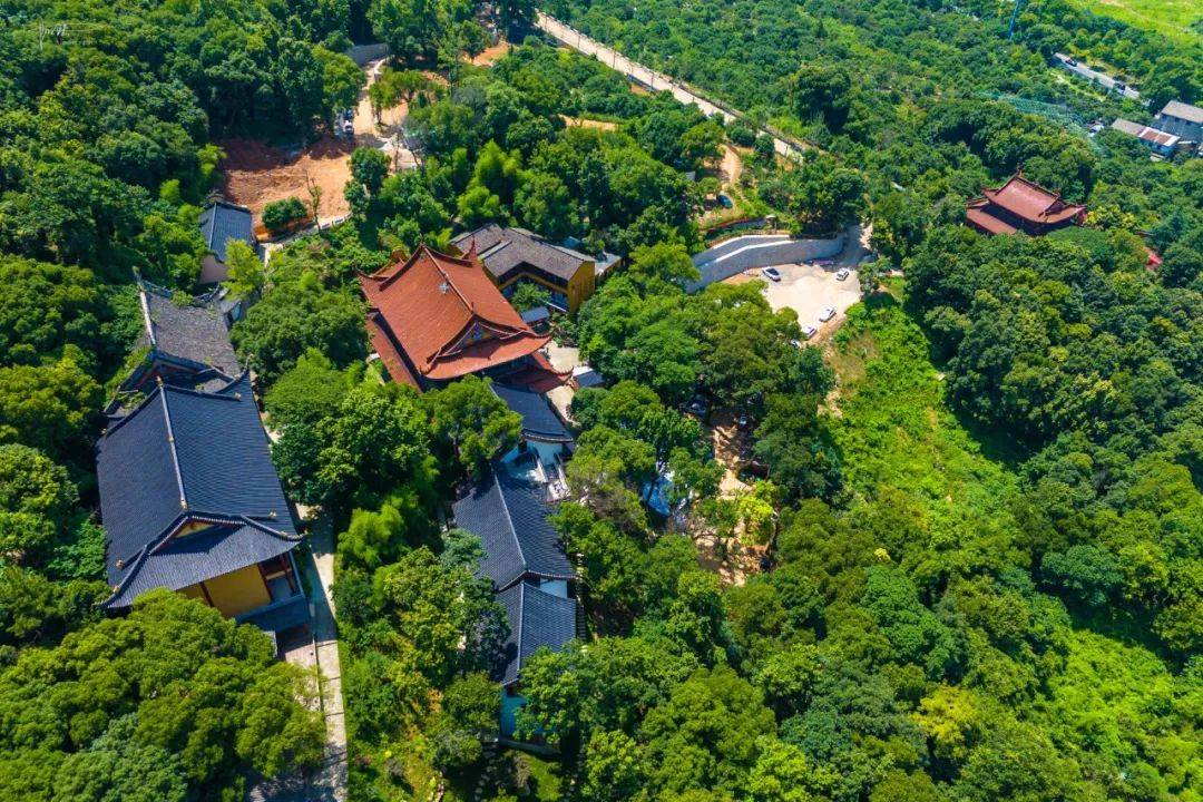 青莲寺是杭州超山的隐秘去处,沿途林木遮天蔽日,堪称避暑胜地