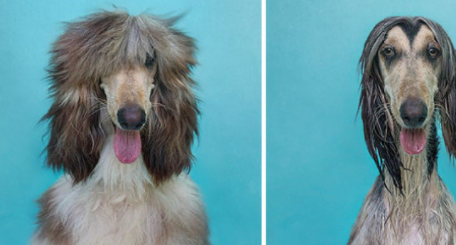 喵星人:那你尝一下吧.啾星人:我就尝一下啊?