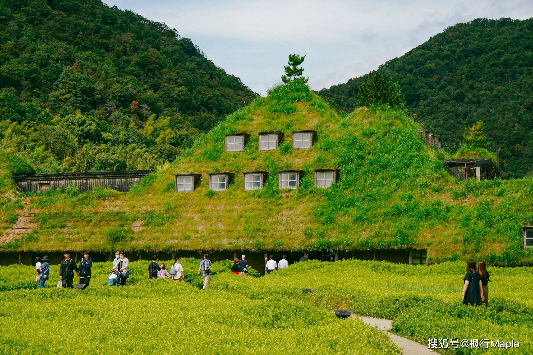   引起 探访日本山区的神秘之地:宫崎骏其人笔下的甜点天堂拉科利纳。 