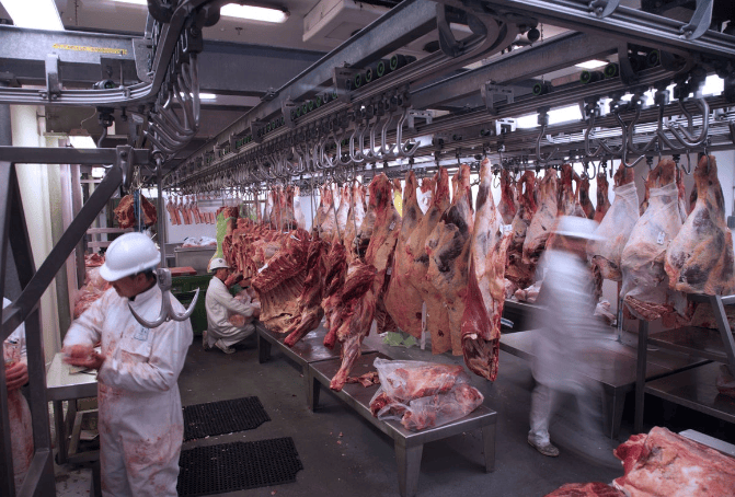 强力生物除臭化粪剂,让屠宰场远离异味困扰!