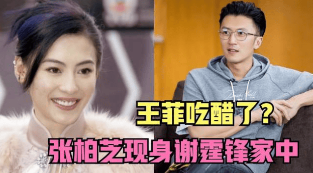 为了报复谢霆锋?王菲秘密生下"三胎"女儿,网友:何必作践自己