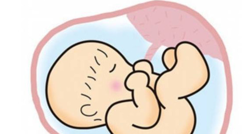 肚子里的宝宝其实不老实。以下七种说明宝宝很“皮”！_妈妈_时间_羊水