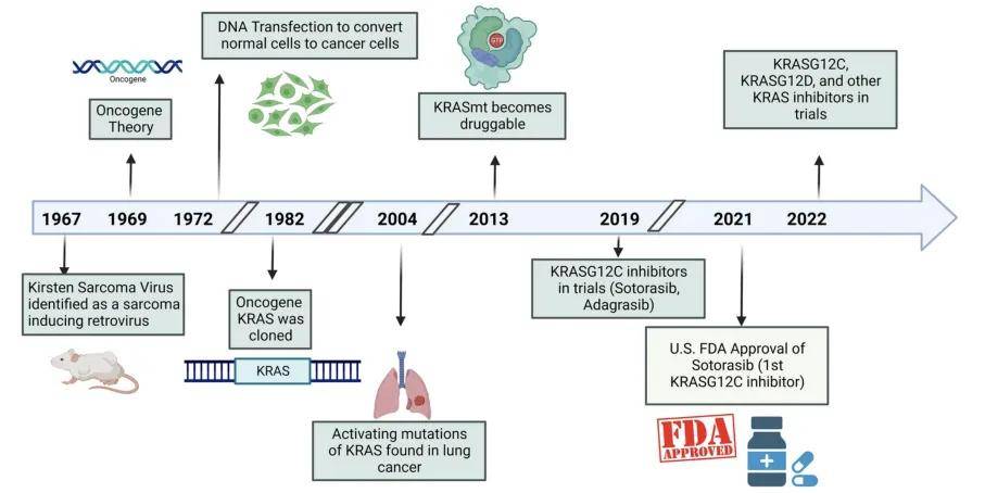 FDA加速批准阿达格拉西布联合西妥昔单抗用于治疗KRAS G12C突变结直肠癌