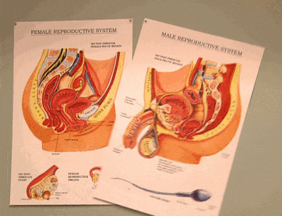 外阴白斑,拖着不治会有怎样呢?