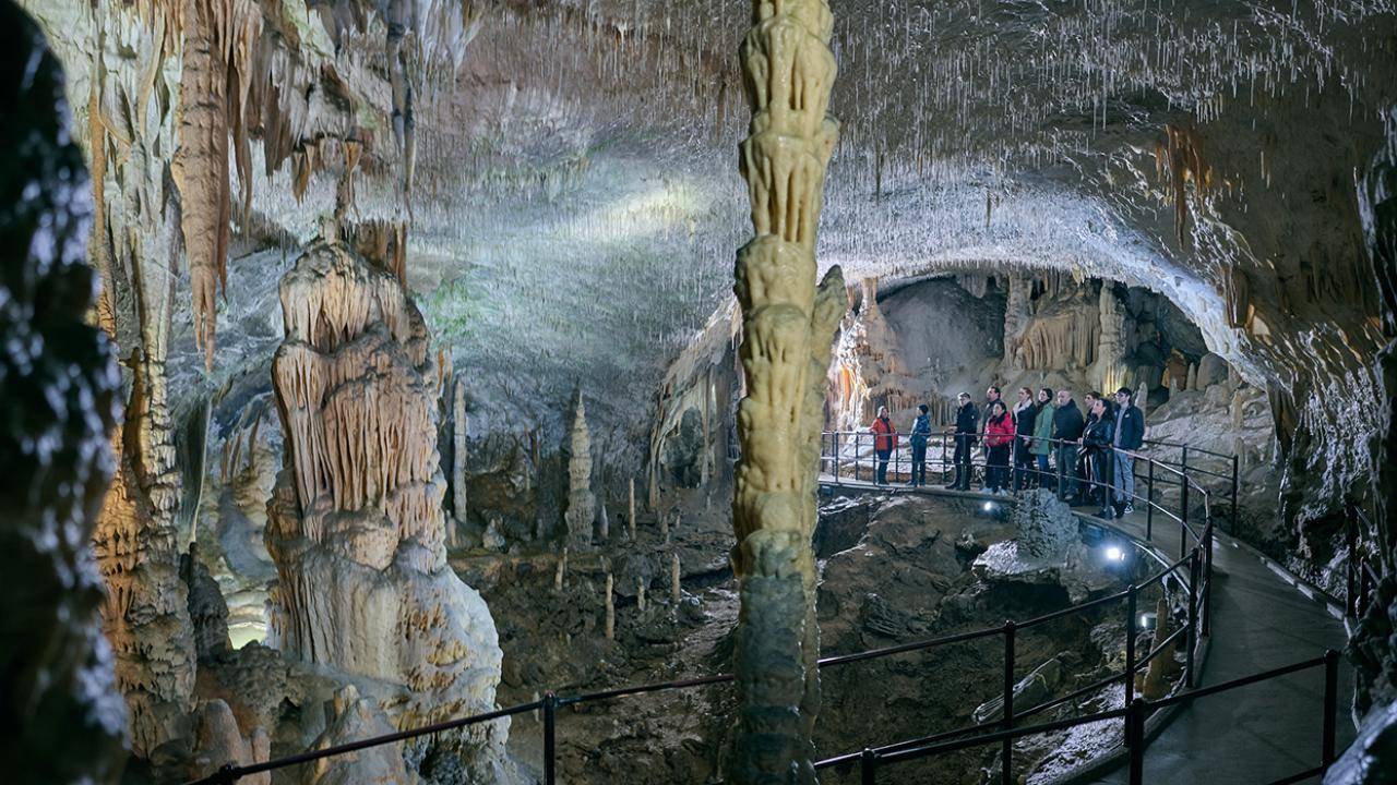   斯洛文尼亚波斯洞穴旅游常见问题综述