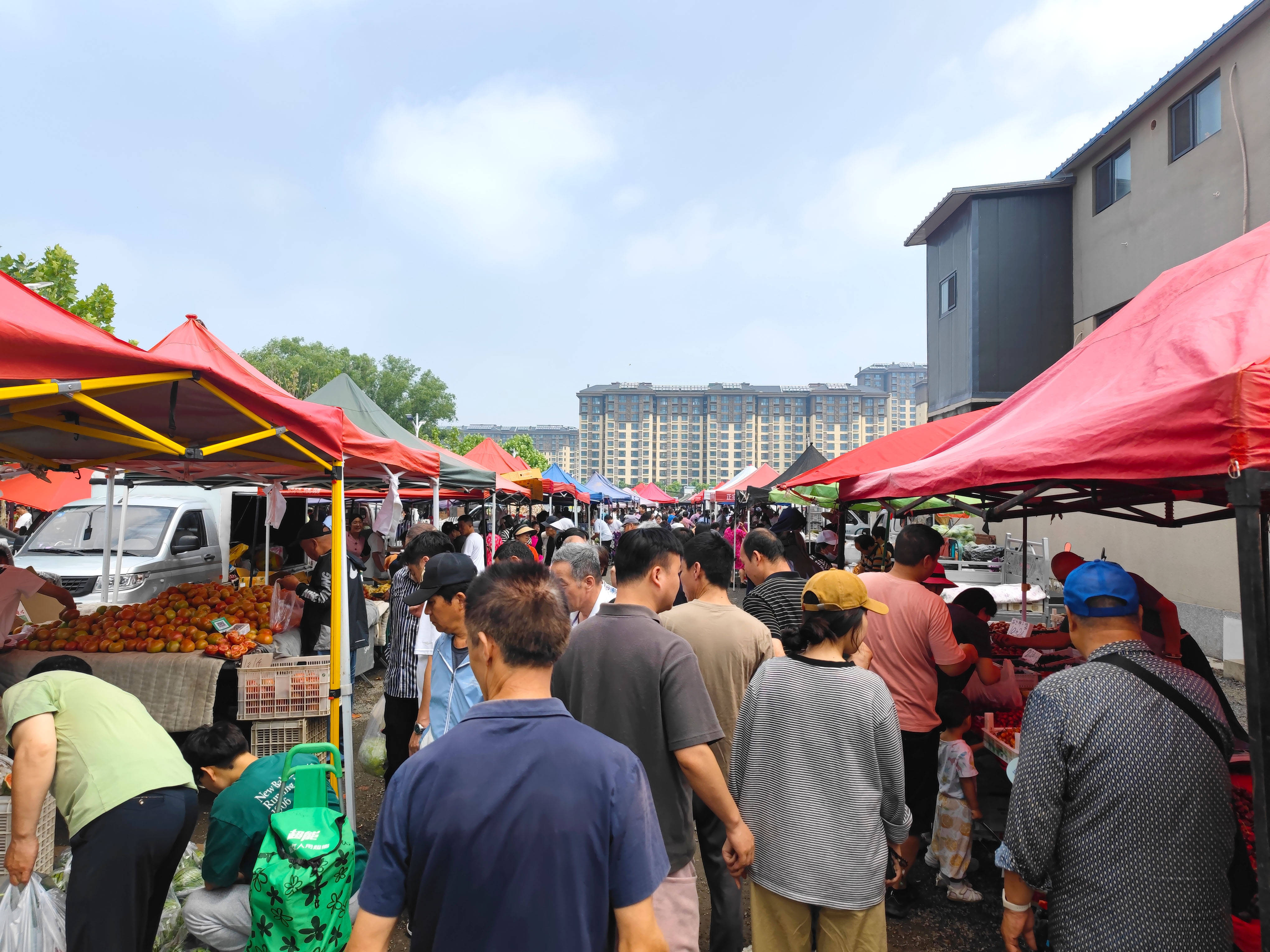 北京这里太好逛了,花卉市场与农贸大集,地处四环外交通便利