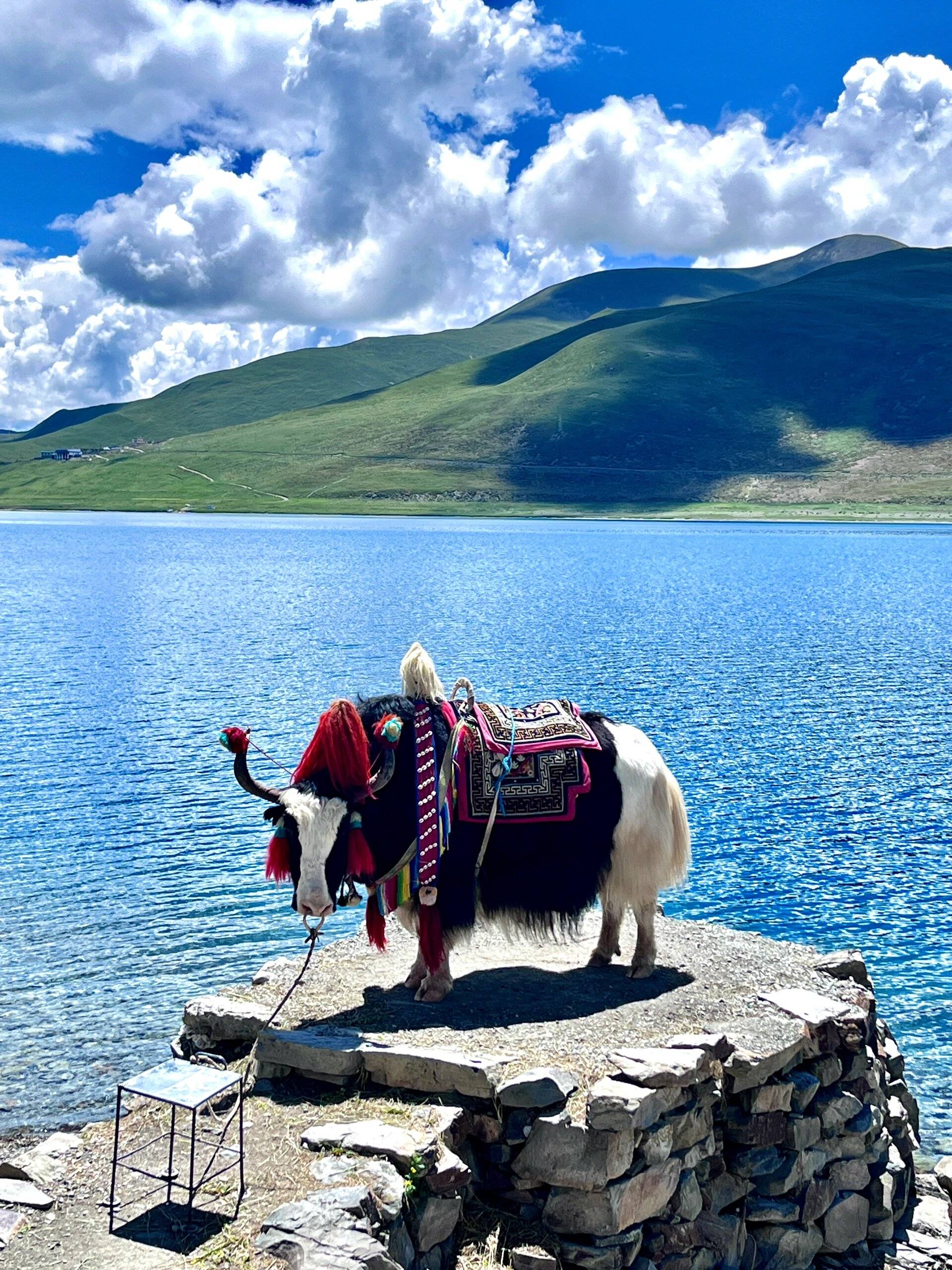 西藏旅游七天六晚详细攻略,西藏旅游7天人均价位多少?