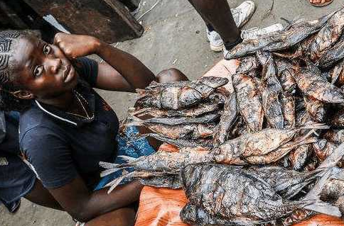   引起 听说非洲海鲜比白菜还便宜，国内游客飞来吃，看一眼都有点吓人。 