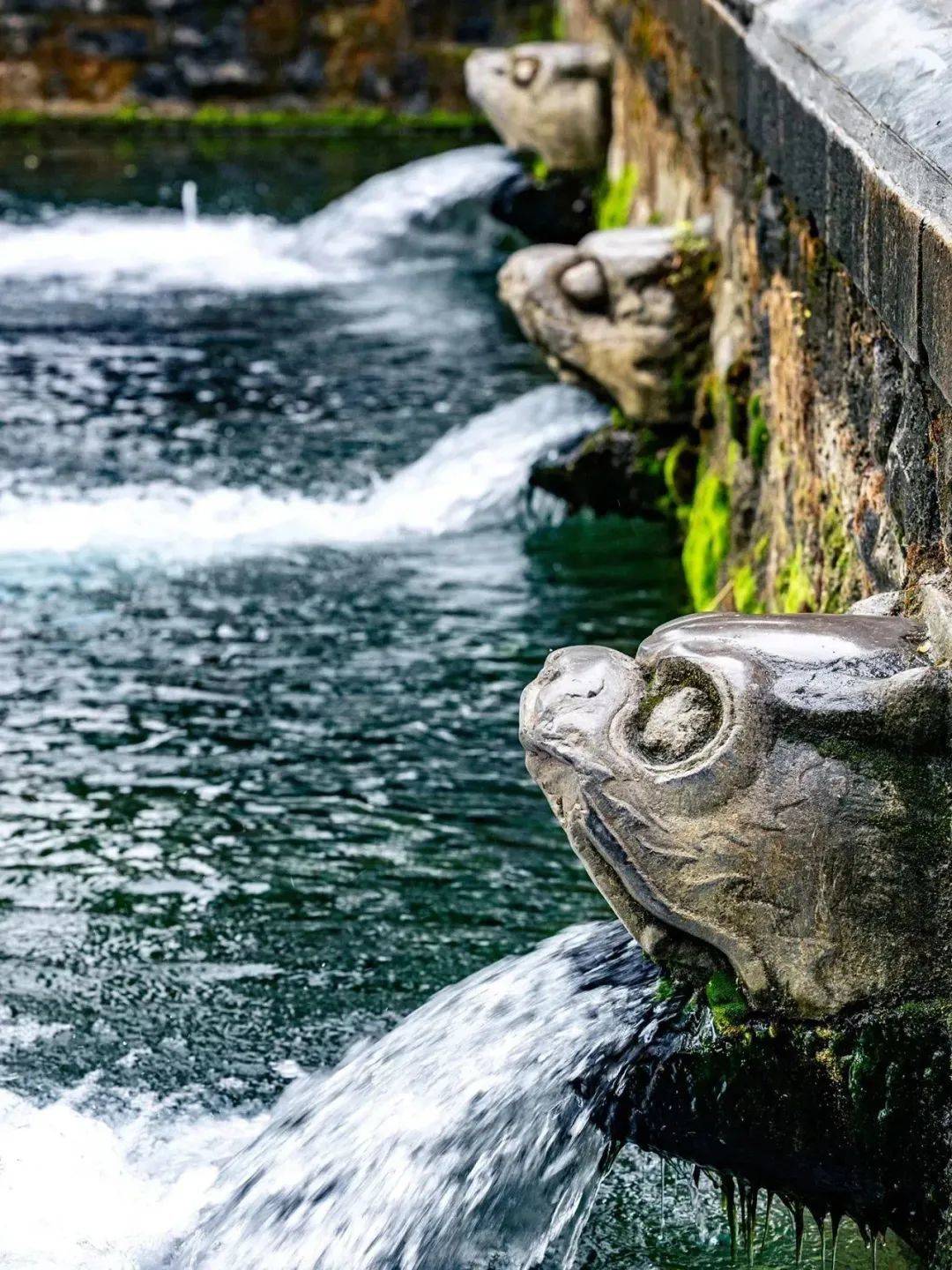 潭柘寺泉水图片