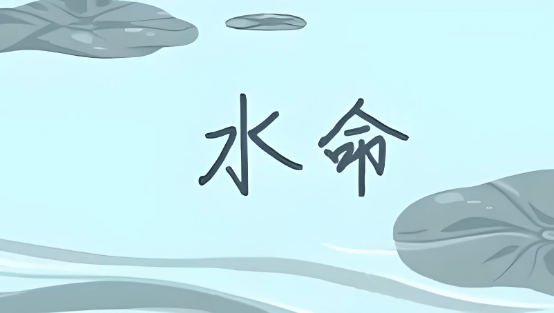 什么名字好