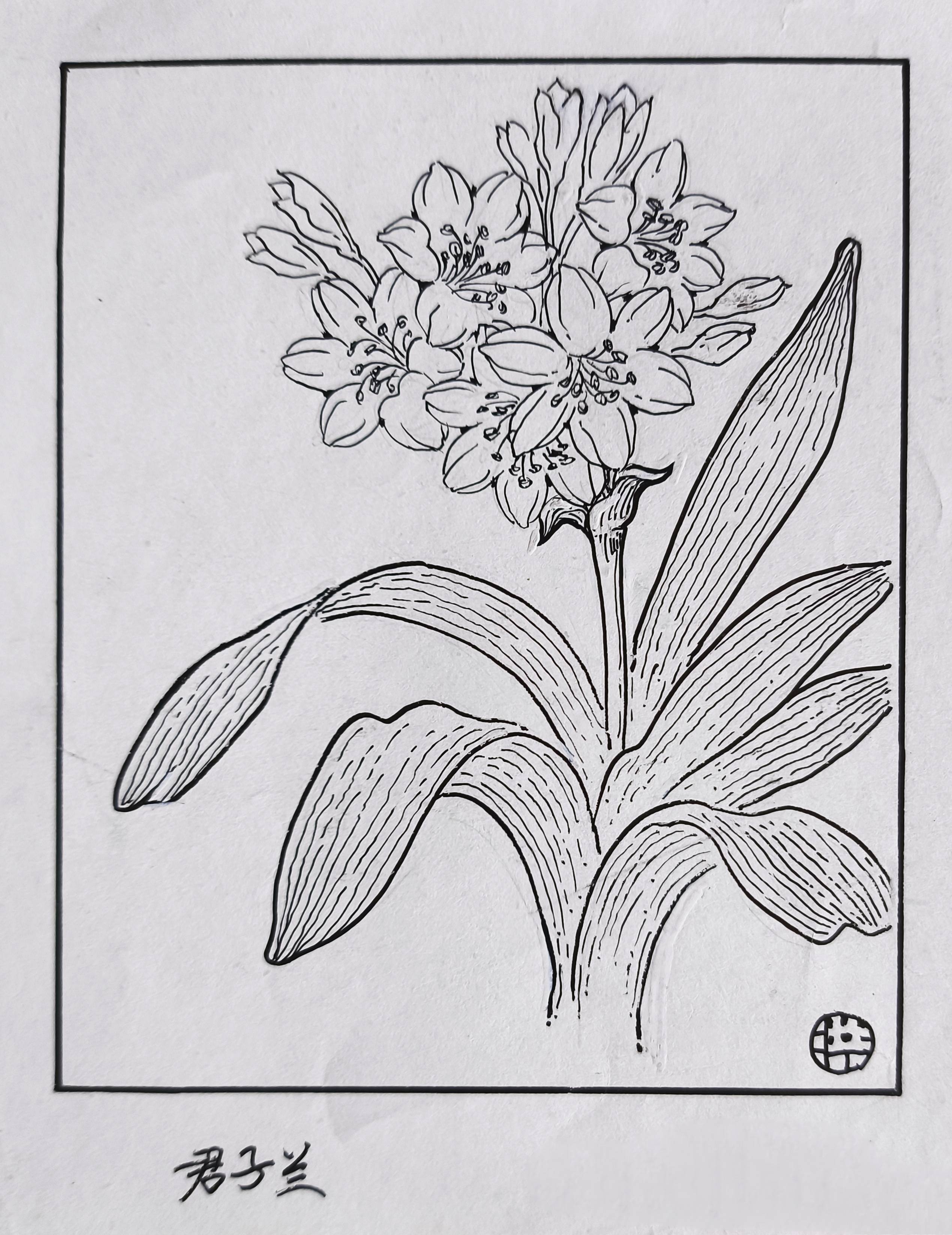 "谱曲能唱,离曲能吟"的"八行诗"与清新灵动,别具一格的《百花图》联袂