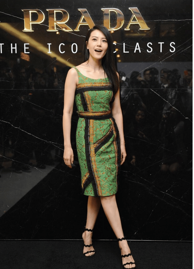 赵又廷能娶到高圆圆有福气,穿绿色蕾丝裙好美,靠优雅气质就赢了