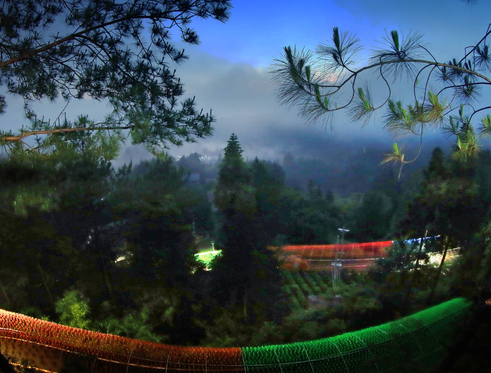 黄水:千朵万朵绣球花,锦簇清凉度盛夏