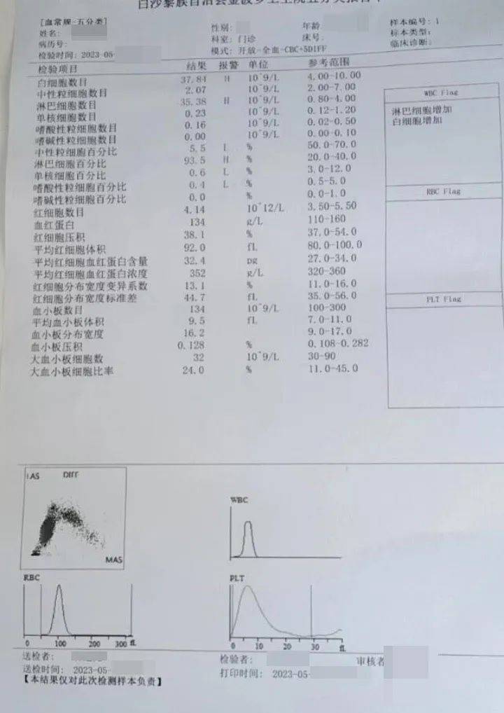 儿童白血病化验单图片图片