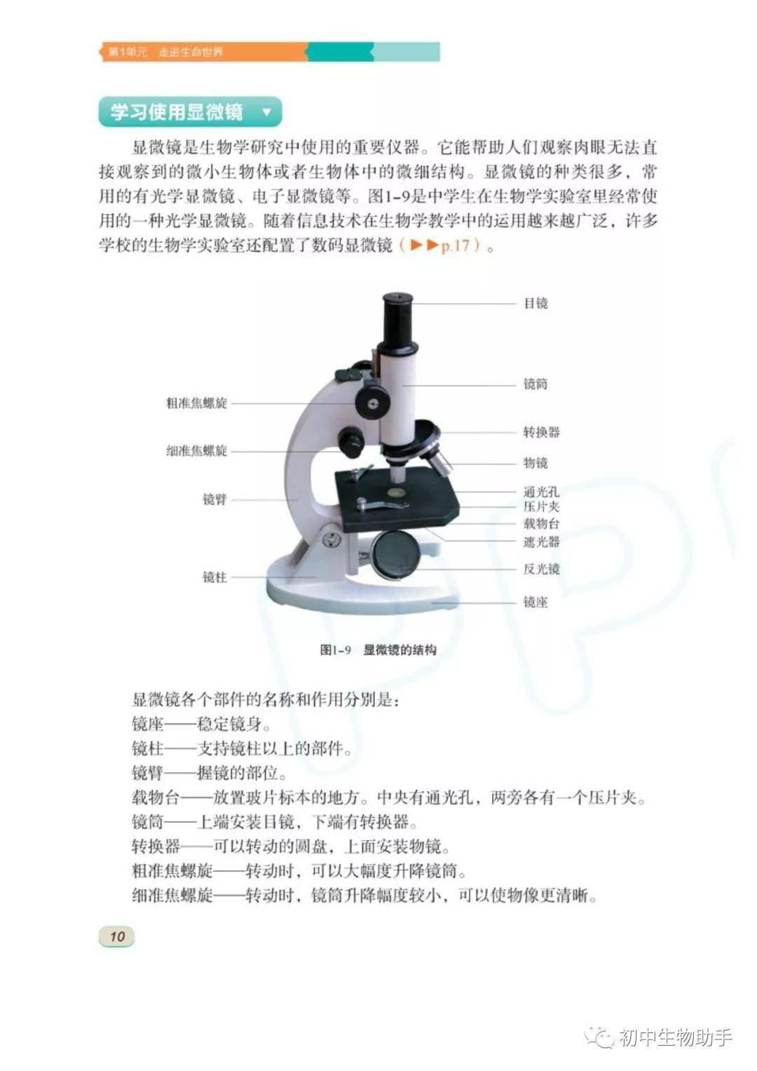 生物教材七年级上册(生物教材七年级上册人教版)  第1张