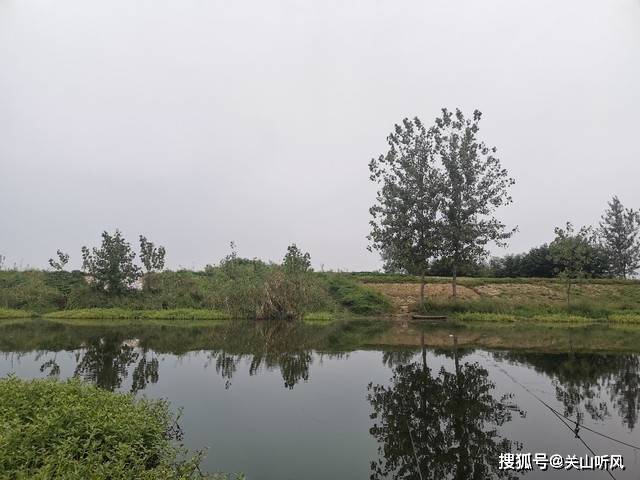 水塘_房屋_农村