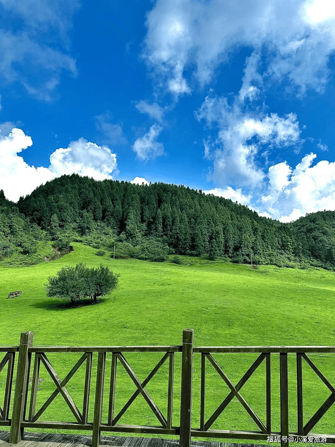 距离市区稍远的仙女山,这里有壮丽的自然风光,可以登山远眺重庆全景