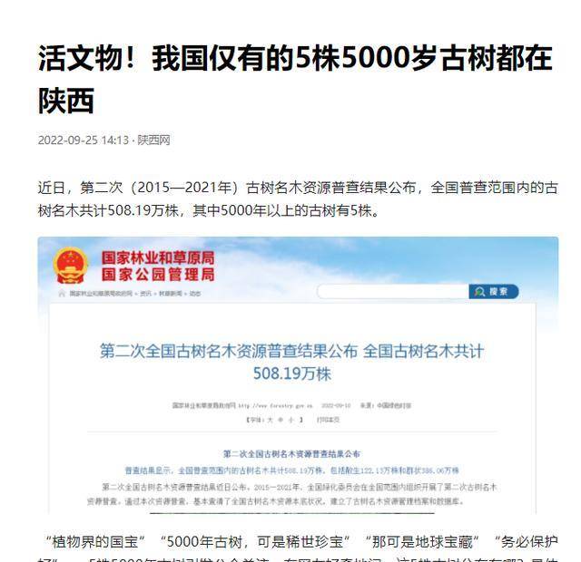 我国仅有的5株5000岁古树,全都长在陕西,有一棵还震动了联合国_黄陵