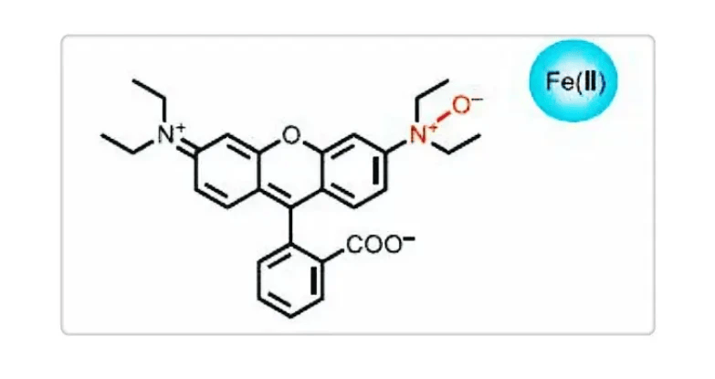 亚铁离子荧光探针,ferhonox