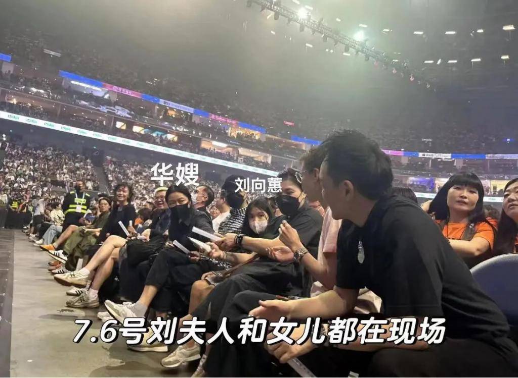 刘德华演唱会中途设计“滑跪”动作险些冲出高台，妻女皆在现场-刘德华舞台感染力