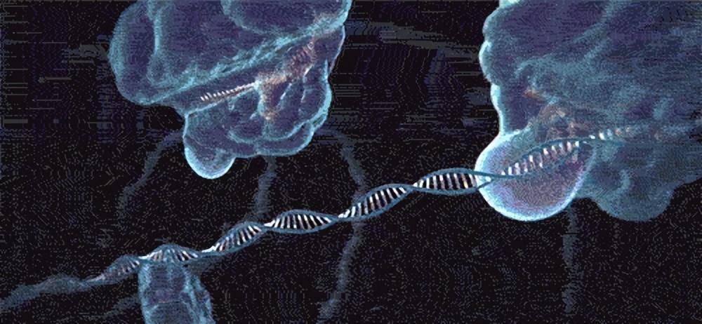 它就是距离人类家园最近的恒星系统——半人马座三联星系统中的一员