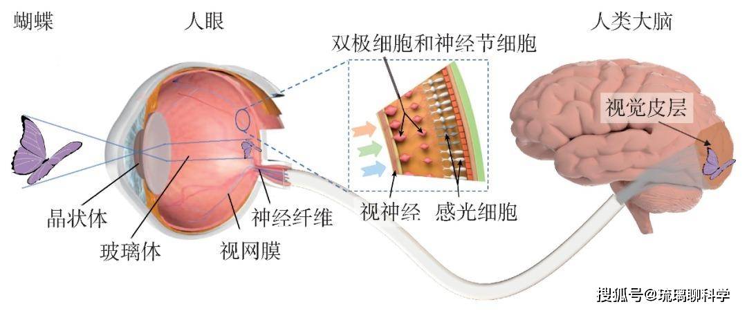 鬼打墙是否真实存在?为了找到答案,科学家做了一个实验