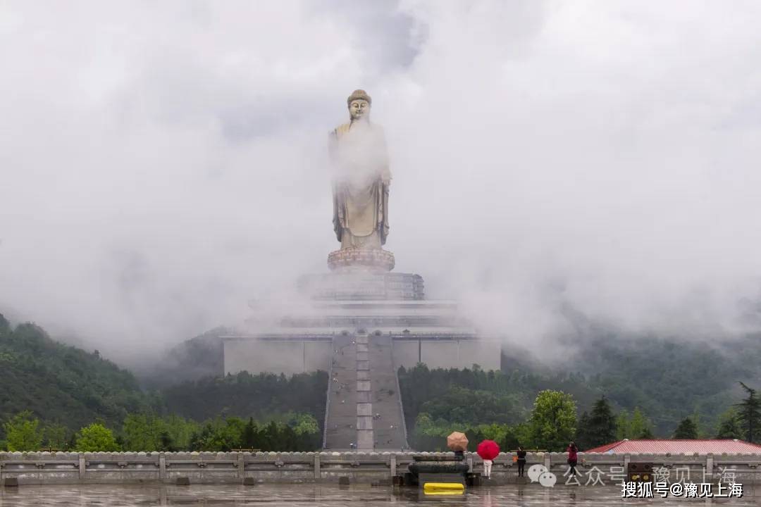 河南鹰城平顶山与上海的精神纽带就在豫见上海