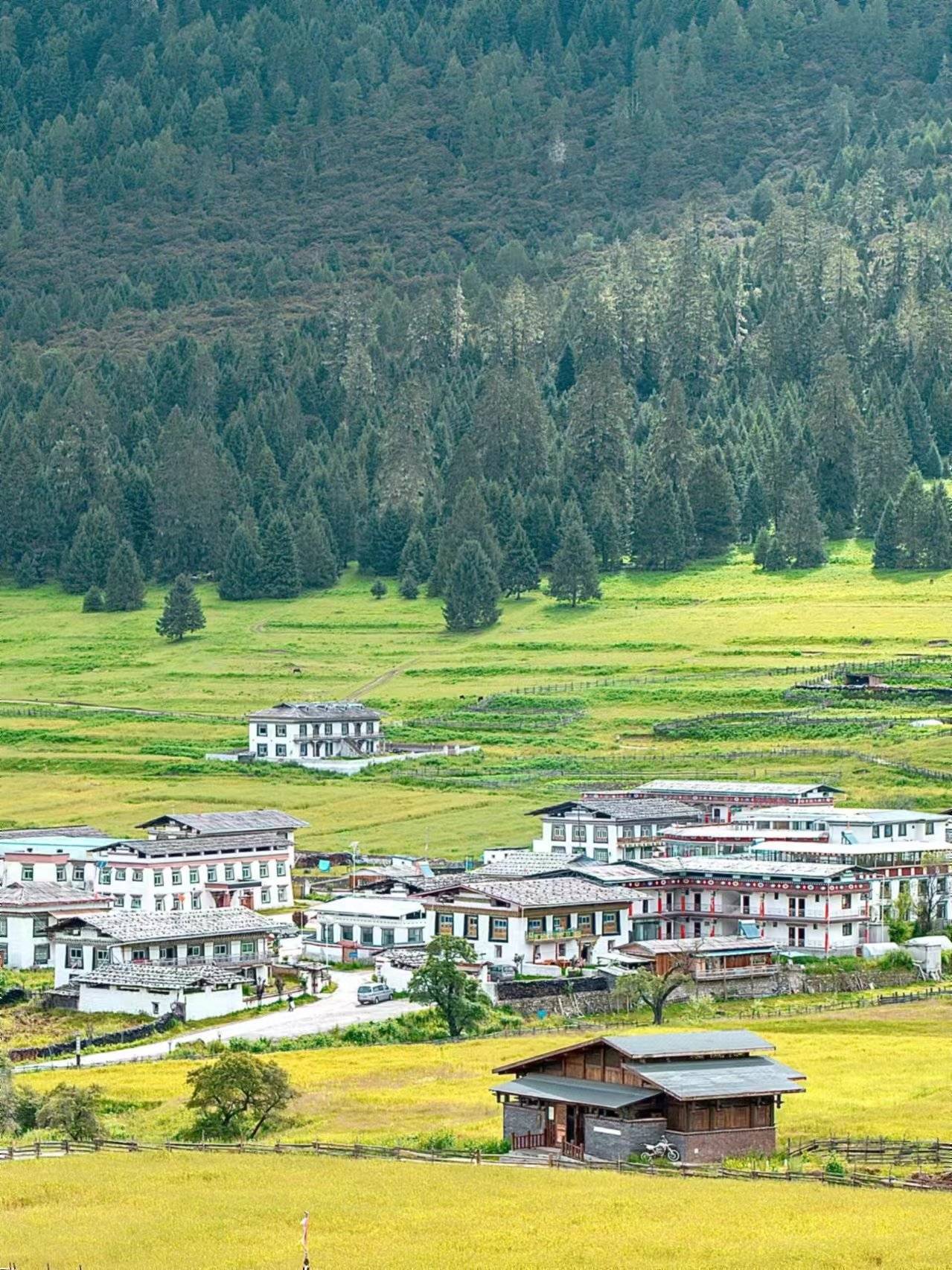 家庭游林芝鲁朗怎么规划,一家人去鲁朗旅行花费(每人1490)
