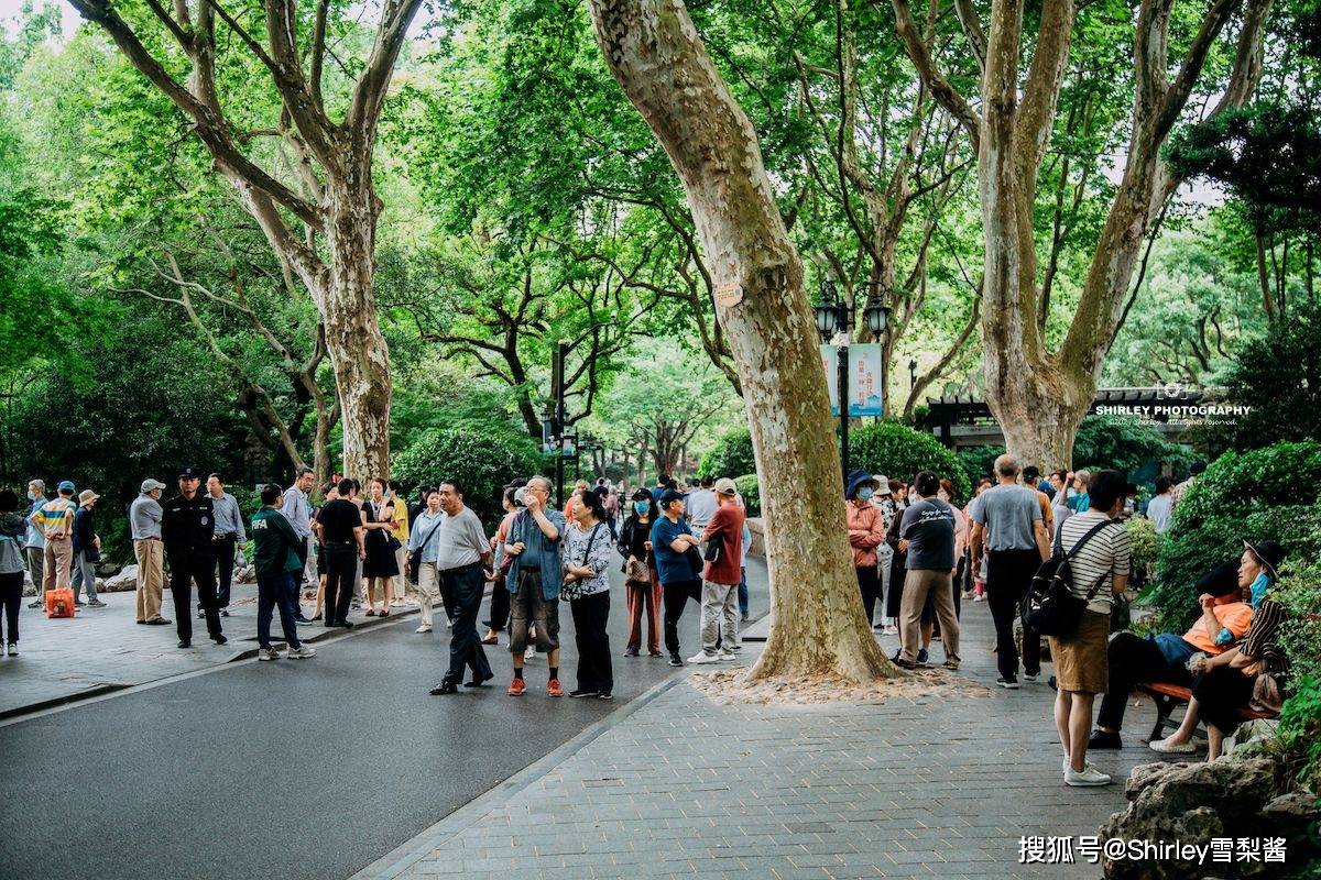 实拍整顿后的上海鲁迅公园,"群魔乱舞"现象消失,世界都安静了