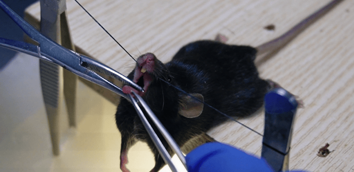 睦科生物实操视频 图文