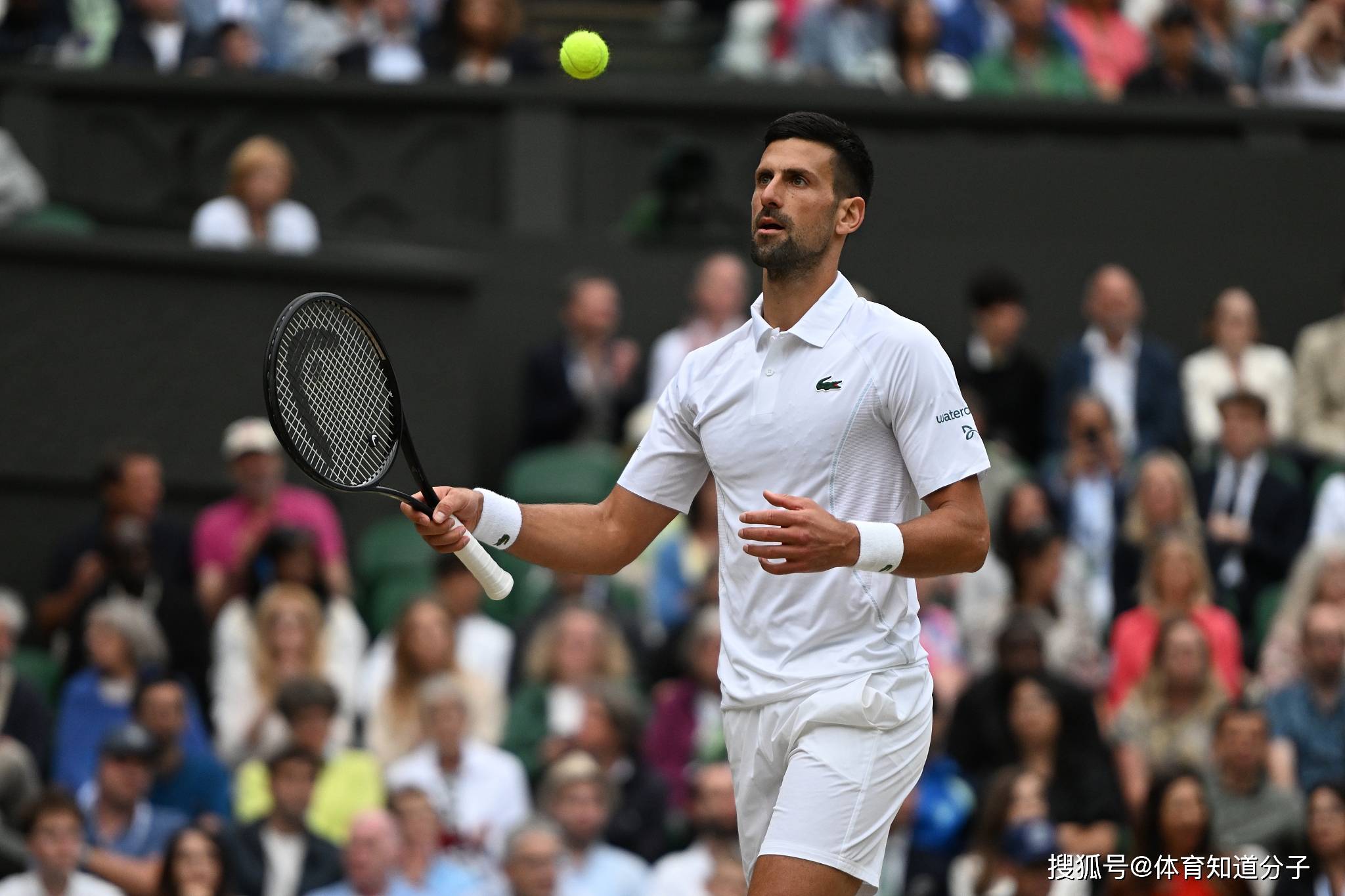 37次大满贯决赛!德约科维奇剑指25冠,决赛前好消息让粉丝开心