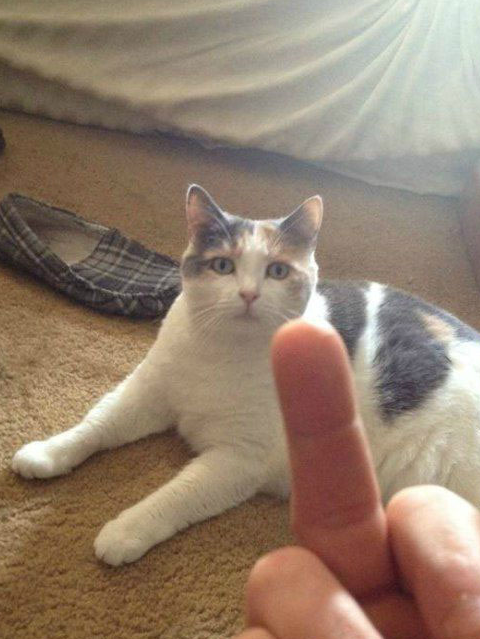 如果觉得不错,请动动手指转发给亲朋好友,让他们也开心一下嘛!