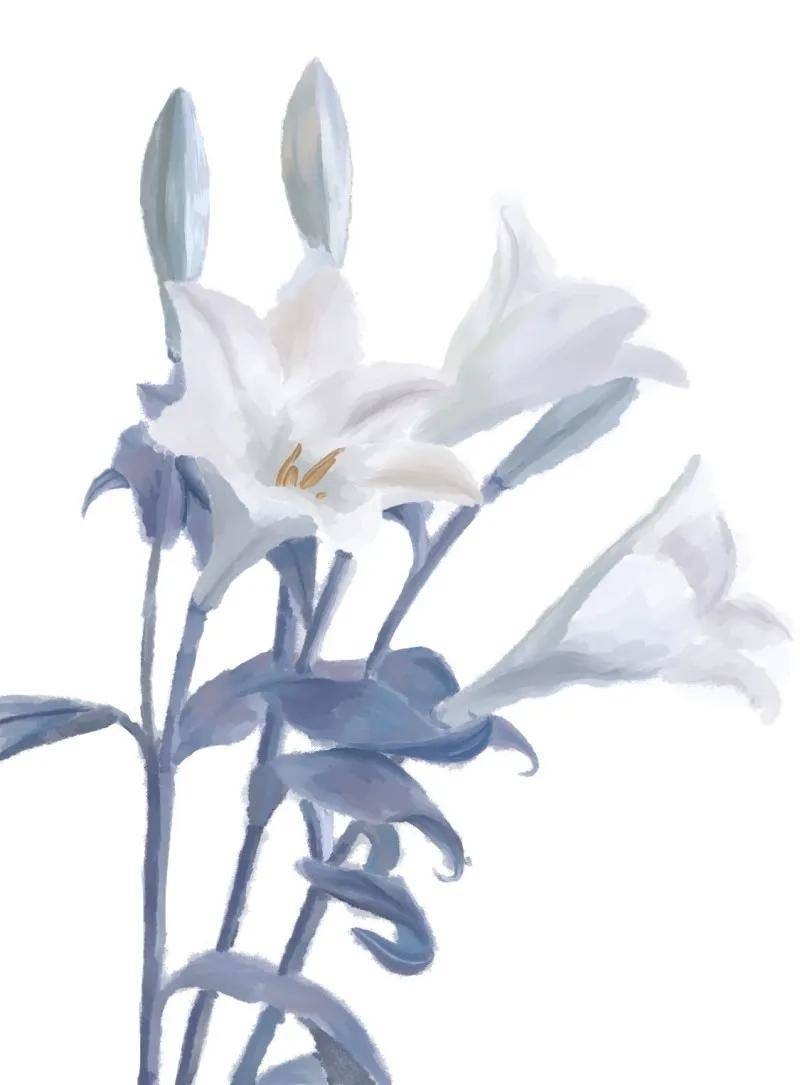 学员作品丨b5班基础板块结课作业展示