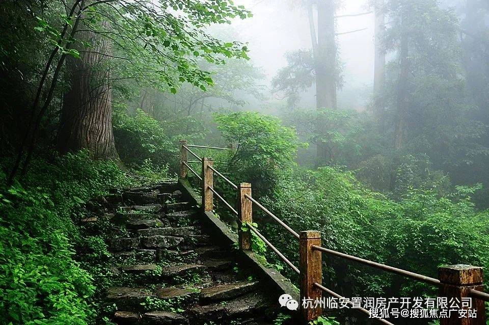 楼盘距离景区只有一公里,可以说就是在天目山脚下