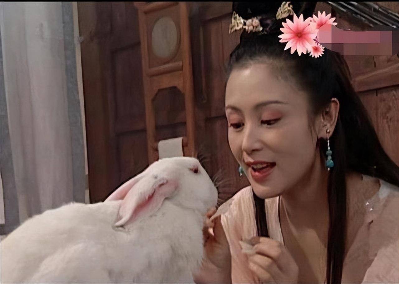 看到55岁陈红老去的模样,才终于知道,大陆第一美女果然名不虚传