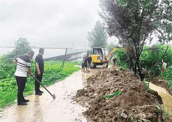 河南周口:全力以赴防大汛 多措并举保丰收_防汛_积水_农田
