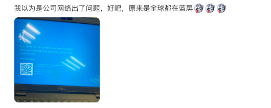 “微软蓝屏”风波影响全球约850万台Windows设备 马斯克：这是史上最大IT失败-microsoft蓝屏错误解答