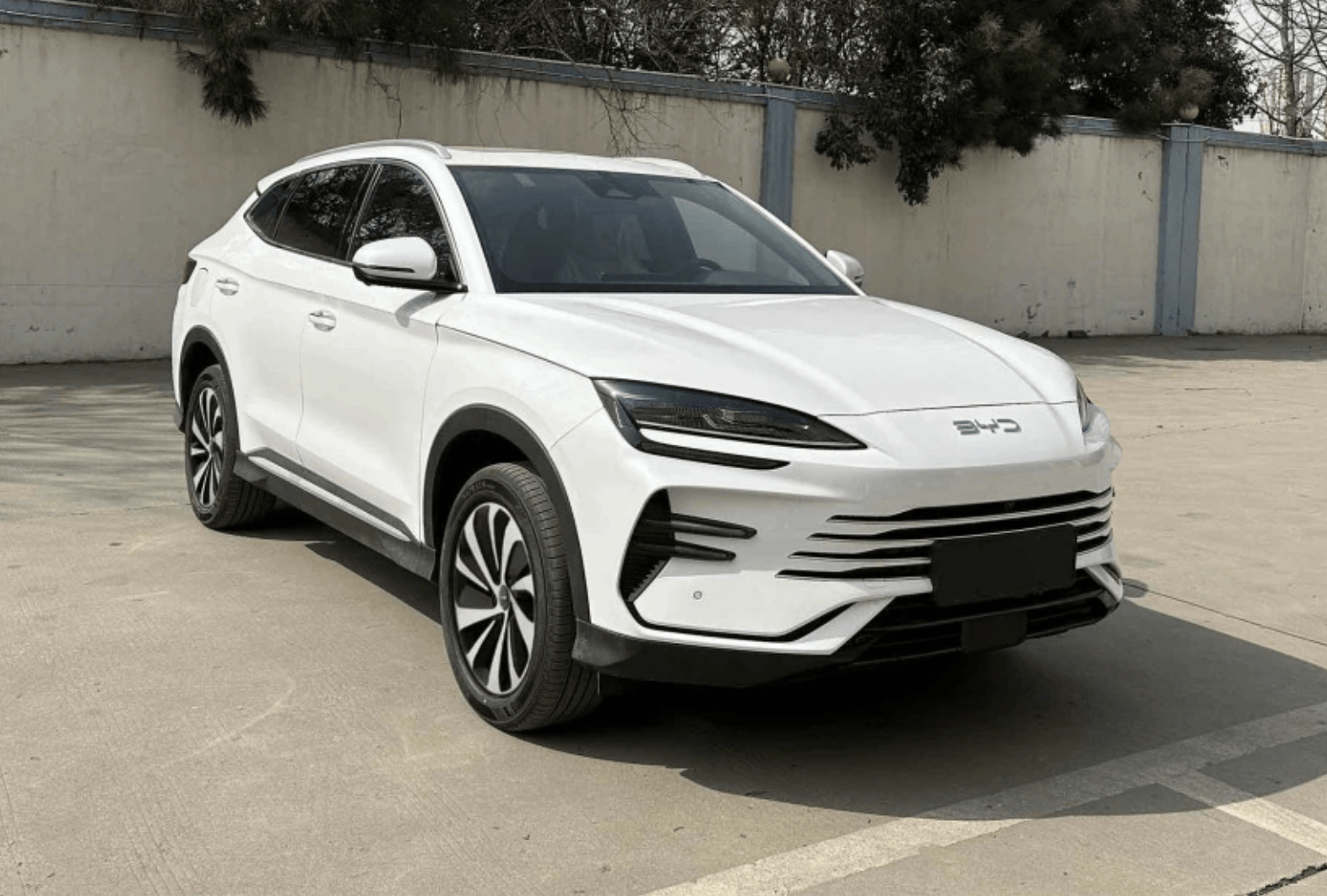 2025款宋PLUS DM-i亮相/纯电MPV车型BYD M6印尼首发_搜狐汽车_搜狐网