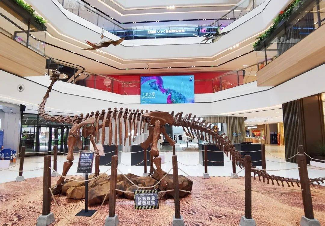 这个秘境雨林展,让你足不出"沪"开启"侏罗纪探险之旅"_活动_恐龙_特色