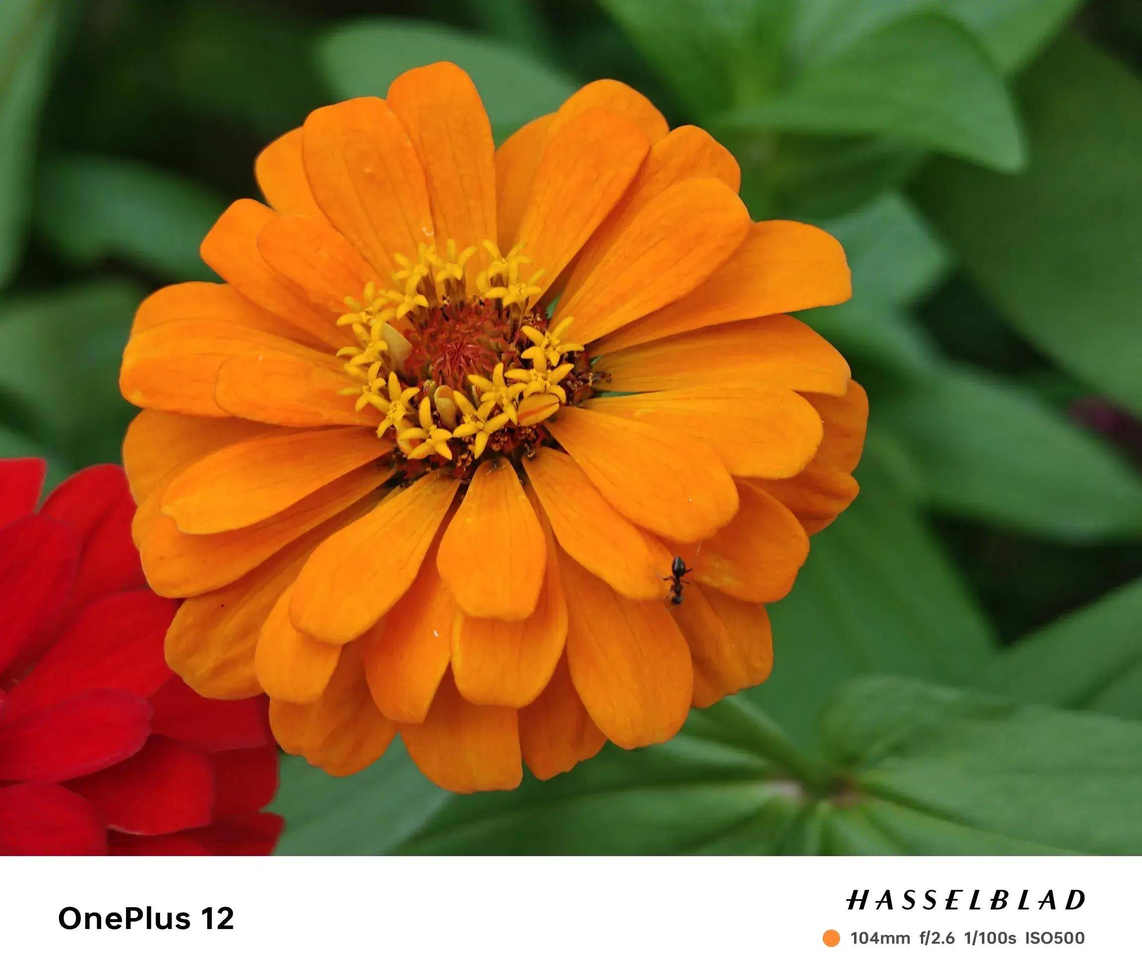 暑假怎么嗨?装备到快乐就到!嗨翻暑假的快乐套装你都中意哪些?